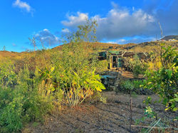 Dragon Eco-Finca