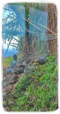 Dragon Eco-Finca