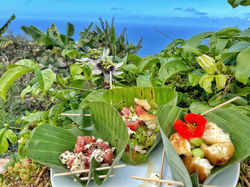 Dragon Eco-Finca