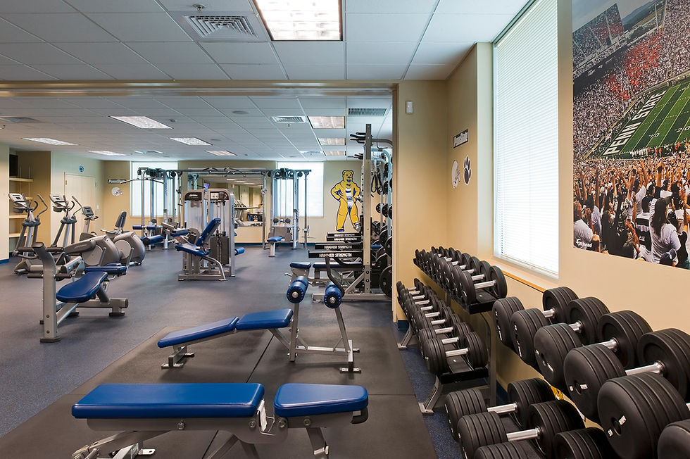 penn state university