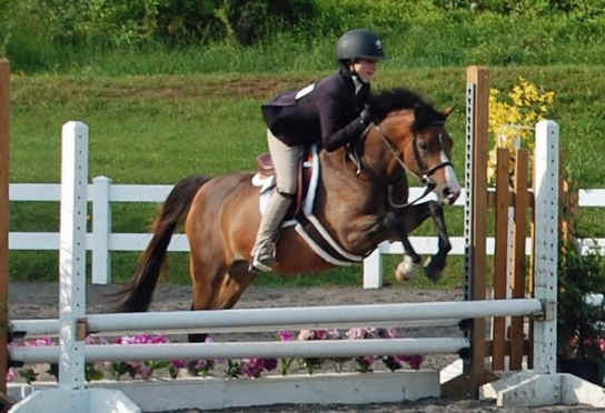 Sales | Cold Spring Farm PA