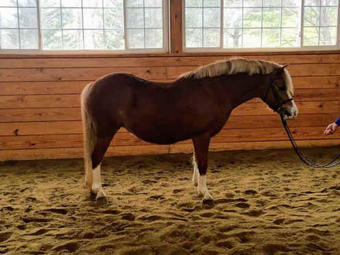 Sales | Cold Spring Farm PA