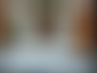 Mastering Your First Federal Contract Award: Timeline, Tips, and Staying Motivated