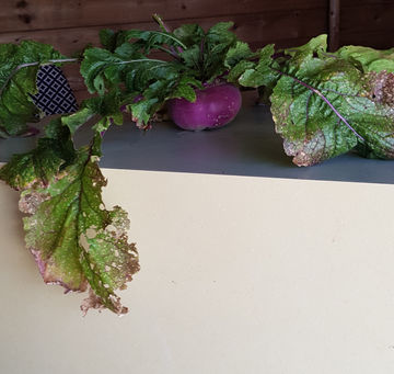 Bravo aux gagnants du jour !