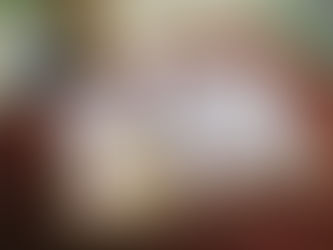 Au jardin aujourd'hui