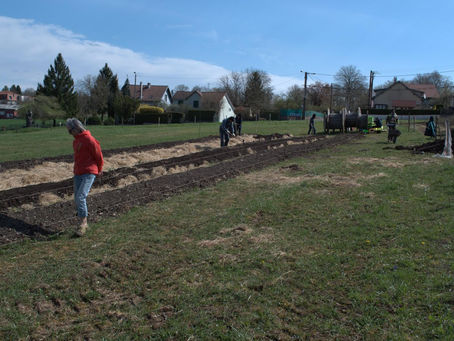 ça pousse...ça pousse...