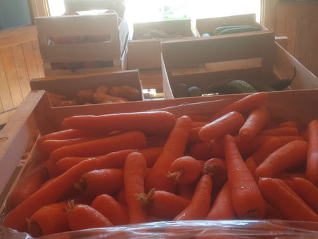 Disponible au jardin cette semaine 