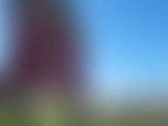 Reprise des distributions paniers