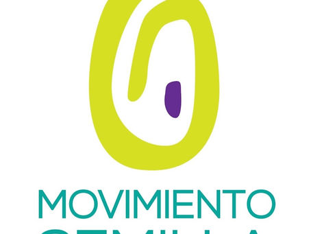 Movimiento Semilla denuncia a Rafael Curruchiche