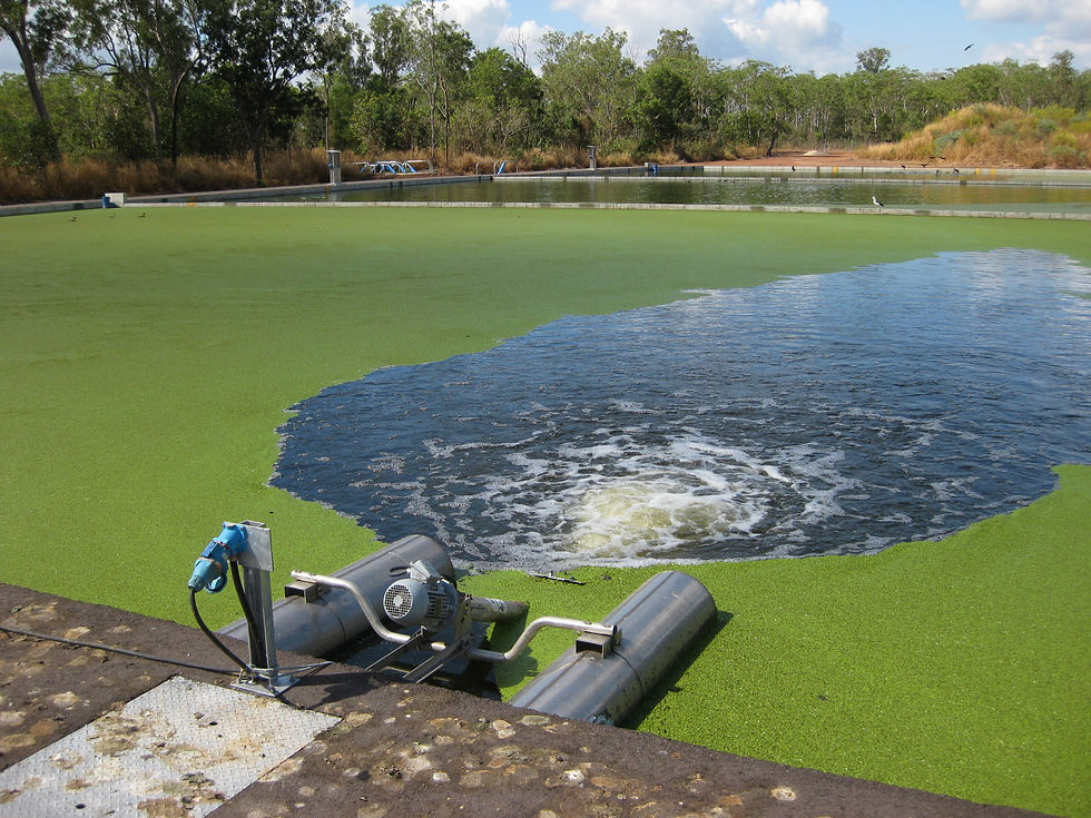 Nature-Based Solution Projects