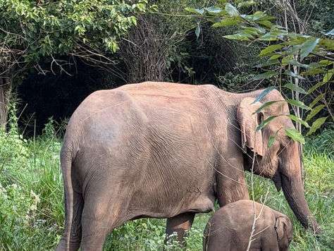 Sri Lanka mit Kindern – Züge, Surfen, Safari und ein Wendepunkt
