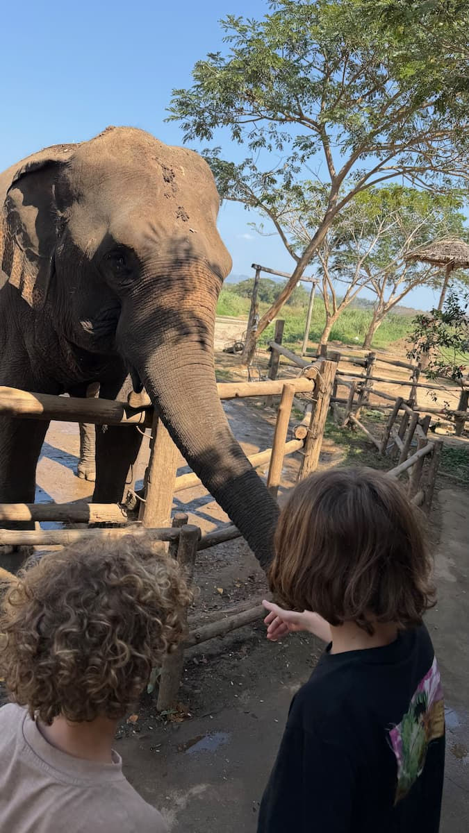 kids-feeding-elephant-in-elephant-cafe-near-chiang-mai