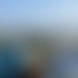 Ausblick aufs Meer vor Bohol