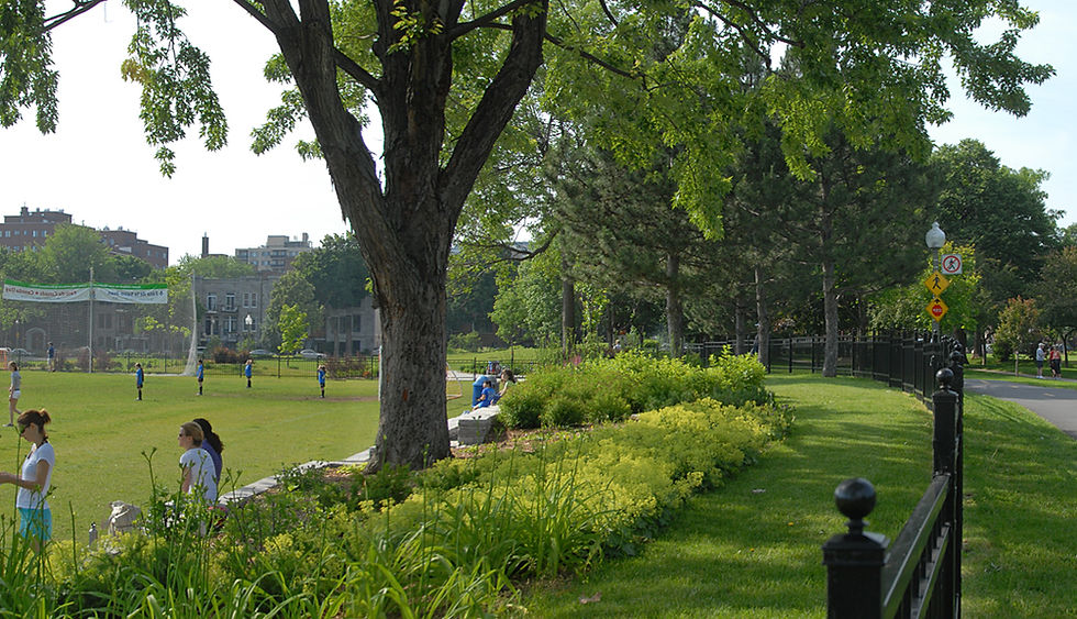 Parc-Westmount_6