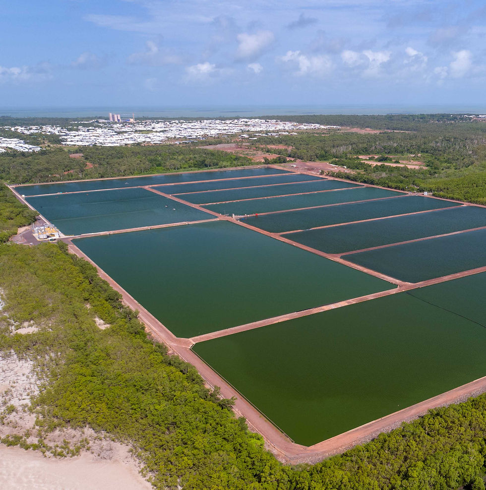 Nature-Based Solutions