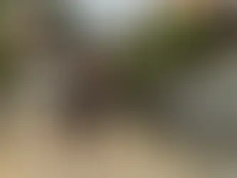 Vater und Sohn spazieren durch eine ruhige Strasse in Sri Lanka