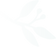 43.Folha.png