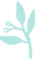 Folha.png