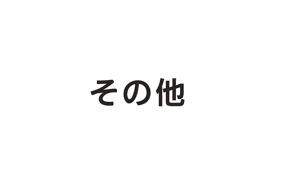 その他