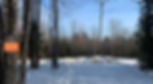 file-5.jpeg