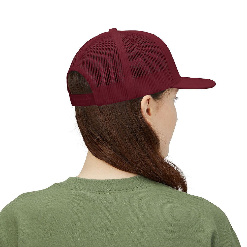 Thumbnail: Make Ohio Healthy Again Snapback Hat