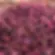 Premium Pakistani Rose Petals (Loose) - Tea/Baking, Wedding Confetti, Decoration