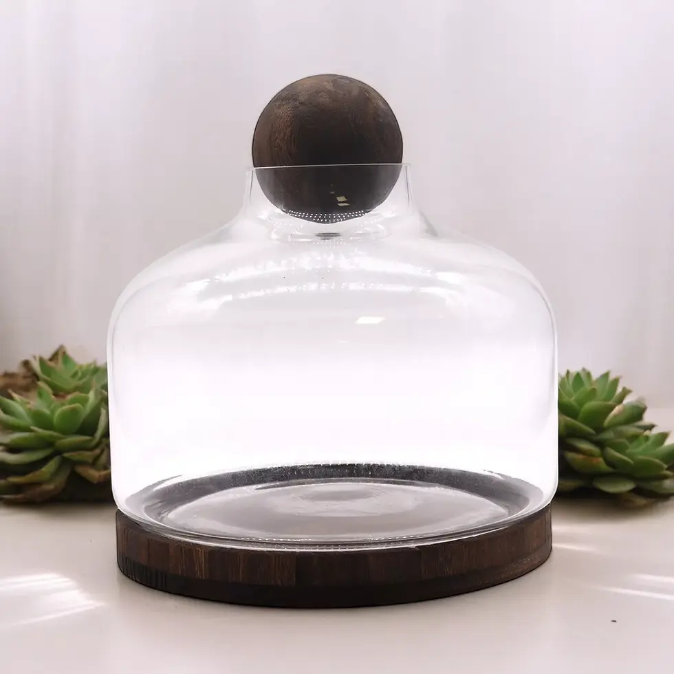 Thumbnail: Ball-top Terrarium (Glass & Dark Tung Wood)