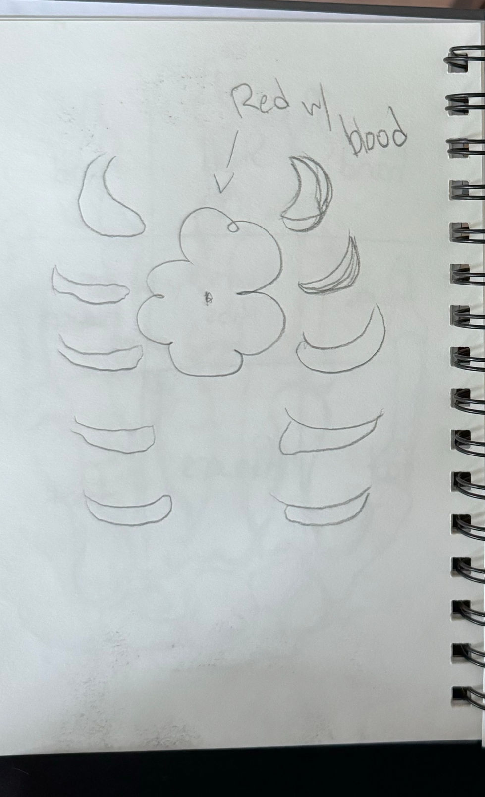 IMG_0909 2_edited.jpg