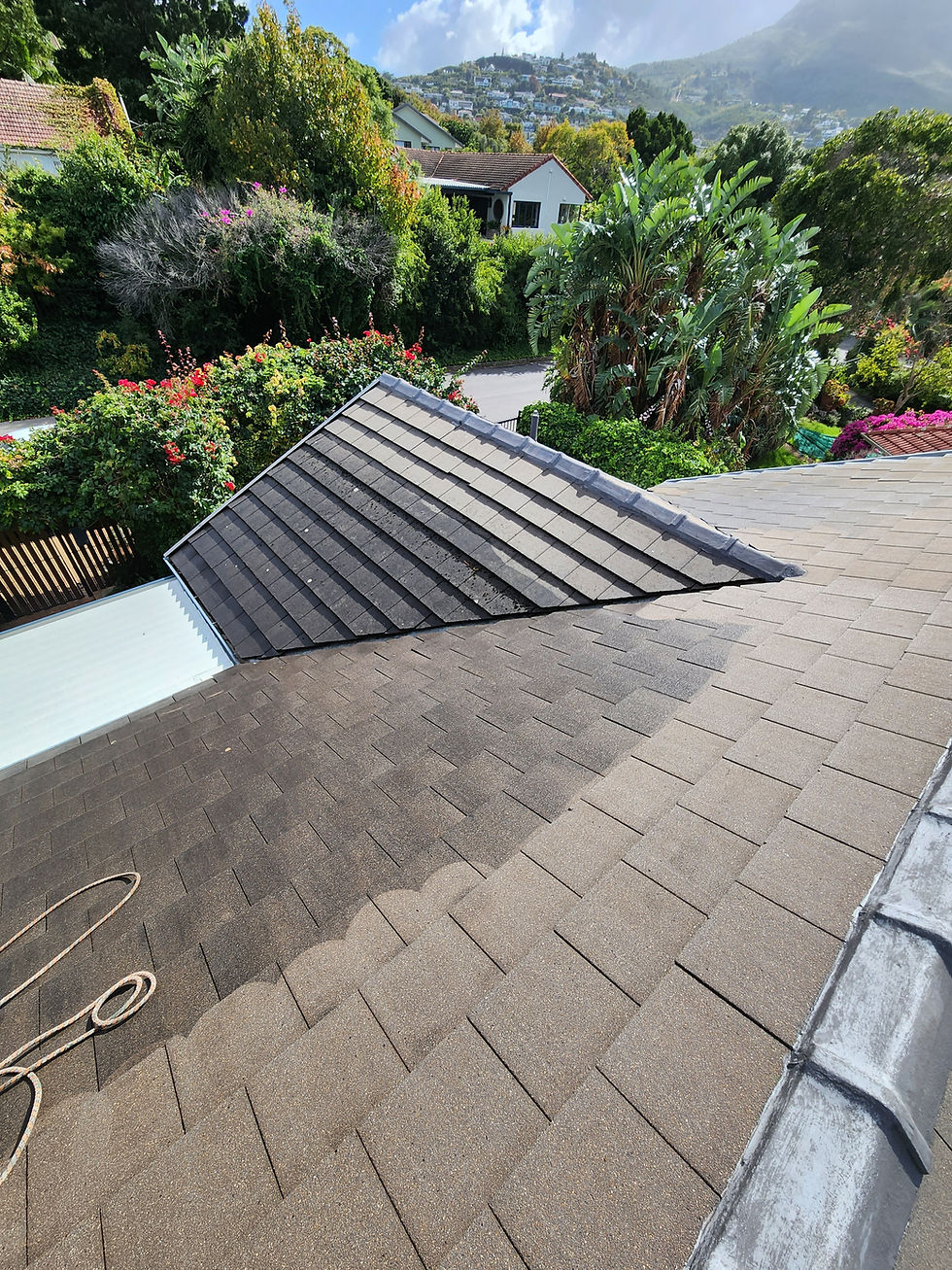 High Pressure Roof Cleaning