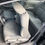 Thumbnail: 2010 Honda Civic