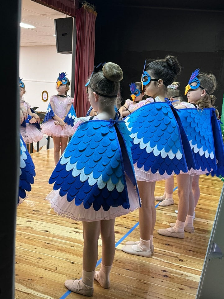 405470469_1112588273460375_1138900059084038558_n