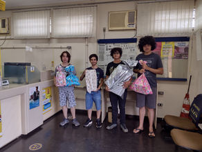 Adoção de Cartas para o Papai Noel dos Correios