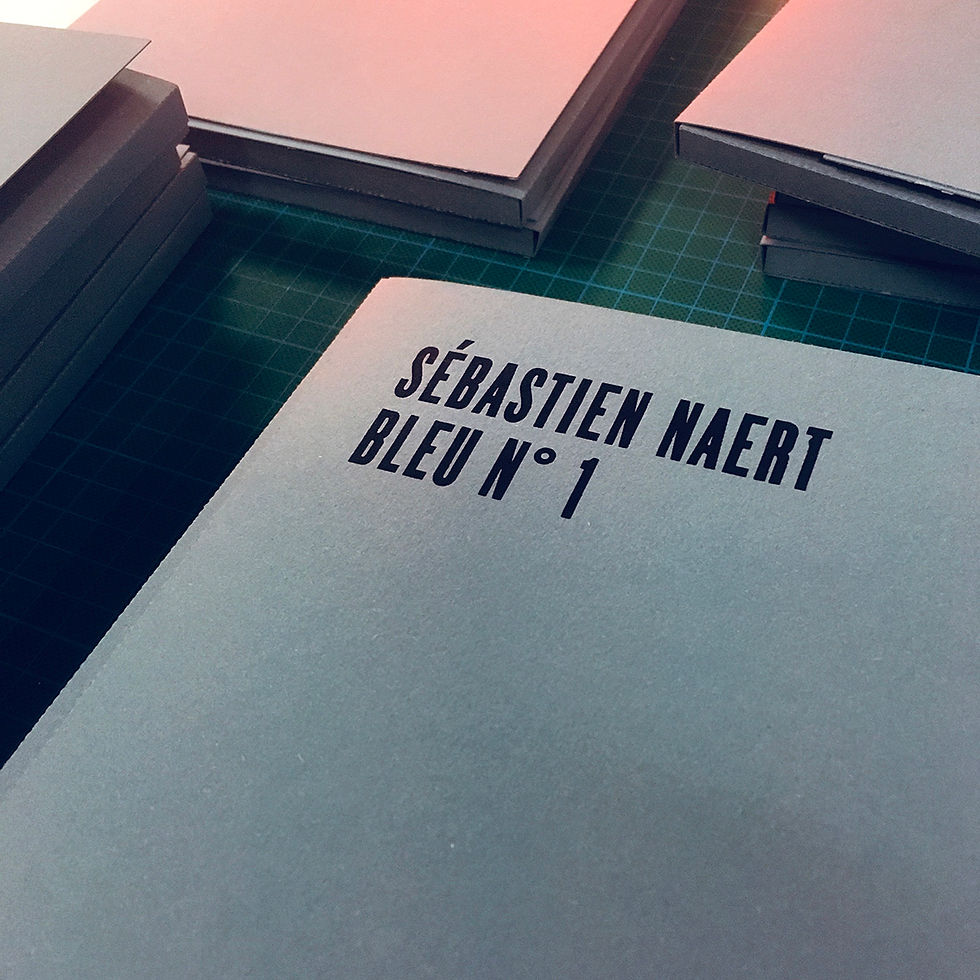 couverture de la revue bleu