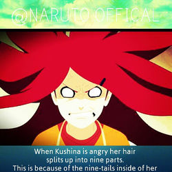 Kushina's Hair Fact