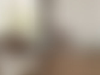 Essential Tips for Making an Offer on a Property with Mercury's Conveyancer Emma Burns (article published by ABC News)