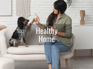 How Self-Cleaning Dog Toilets Improve Hygiene, Health, and Home Cleanliness