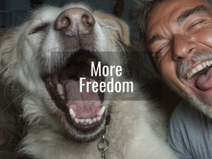 Less Mess, More Freedom: How Indoor Dog Toilets Transform Daily Life