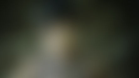 Diversidades sexo genéricas en los pueblos indígenas