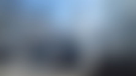 Diciembre: masividad, organización, combatividad