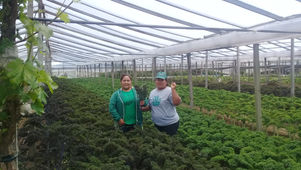 Cosecharás tu lucha – Segunda Parte