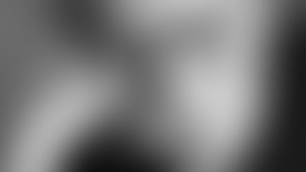 Escribir es tomar partido. Apuntes sobre David Viñas