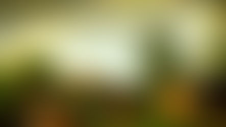 Un pequeño triunfo del PJ (Partido Jipi)