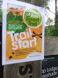 Insect trail poster