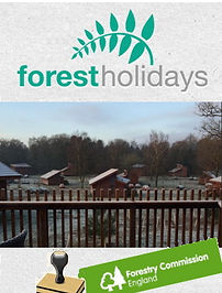 Forest Holidays logo