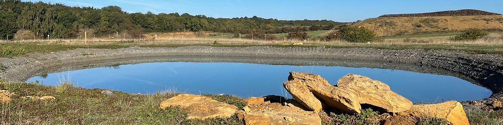 Pond at Cooks Hole.jpeg