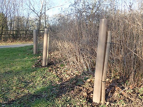 AA270007.jpg