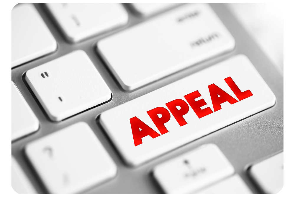 Planning Appeal Complete Guide