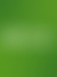 Nvidia Stock Analysis