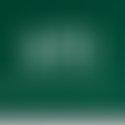 Vanguard Total Stock Market ETF (VTI)