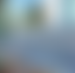 LPL FINANCIAL STOCK ANALYSIS